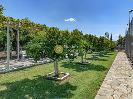 Golden Home Property Image