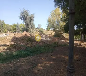Area 23700m<sup>2</sup> for sale photo 4