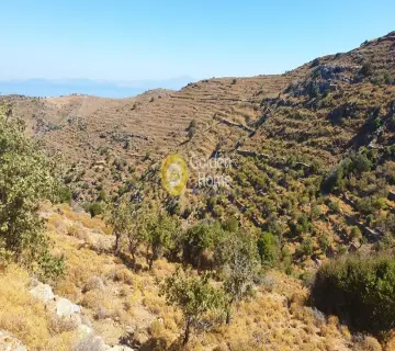 Parcel 50695m<sup>2</sup> for sale photo 2337854