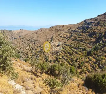 Parcel 50695m<sup>2</sup> for sale photo 2337855