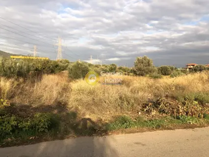 Professional Plot 4464m<sup>2</sup> for sale photo 2