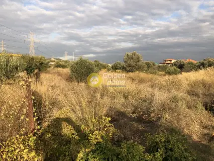 Professional Plot 4464m<sup>2</sup> for sale photo 3