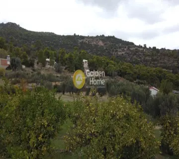 Golden Home Property Image