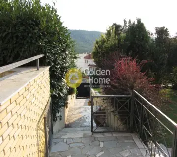 Μονοκατοικία 490τ.μ. προς πώληση φωτογραφία 19