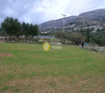 Αγροτεμάχιο 8000τ.μ. προς πώληση φωτογραφία 2353323