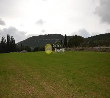 Αγροτεμάχιο 8000τ.μ. προς πώληση φωτογραφία 2353324