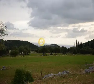 Αγροτεμάχιο 8000τ.μ. προς πώληση φωτογραφία 2353325