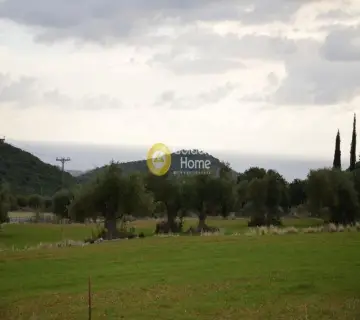 Αγροτεμάχιο 8000τ.μ. προς πώληση φωτογραφία 2353326