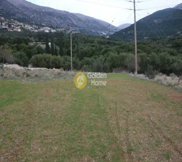 Αγροτεμάχιο 8000τ.μ. προς πώληση φωτογραφία 2353327