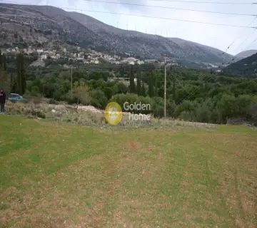Αγροτεμάχιο 8000τ.μ. προς πώληση φωτογραφία 2353328