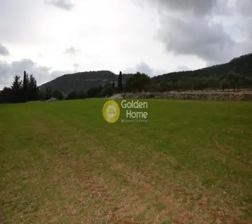 Αγροτεμάχιο 8000τ.μ. προς πώληση φωτογραφία 2353329