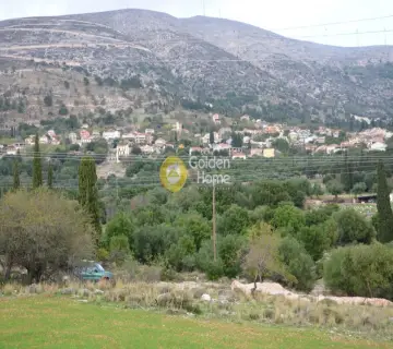 Αγροτεμάχιο 8000τ.μ. προς πώληση φωτογραφία 2353330