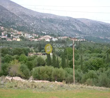 Αγροτεμάχιο 8000τ.μ. προς πώληση φωτογραφία 2353332