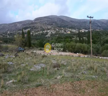 Αγροτεμάχιο 8000τ.μ. προς πώληση φωτογραφία 2353333