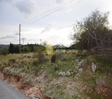 Αγροτεμάχιο 8000τ.μ. προς πώληση φωτογραφία 2353334