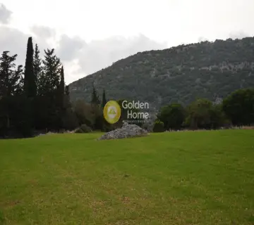 Αγροτεμάχιο 8000τ.μ. προς πώληση φωτογραφία 2353335