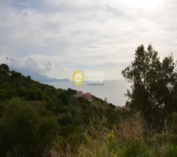 Αγροτεμάχιο 3200τ.μ. προς πώληση φωτογραφία 2353337