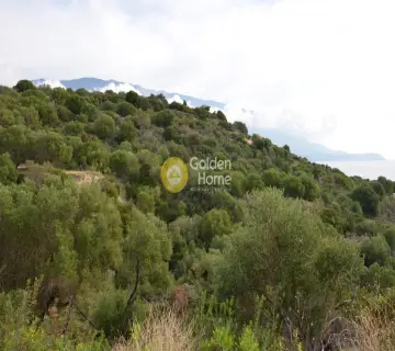 Αγροτεμάχιο 3200τ.μ. προς πώληση φωτογραφία 2353338