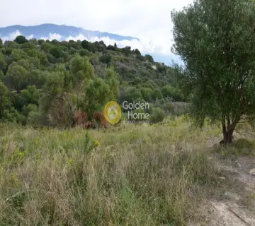 Αγροτεμάχιο 4000τ.μ. προς πώληση φωτογραφία 2353341