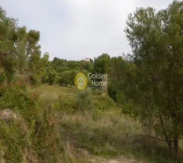 Αγροτεμάχιο 4000τ.μ. προς πώληση φωτογραφία 2353342