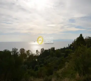 Αγροτεμάχιο 5800τ.μ. προς πώληση φωτογραφία 2353348