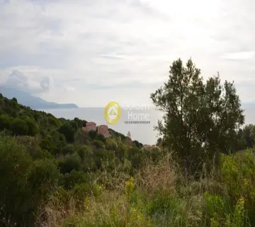 Αγροτεμάχιο 5800τ.μ. προς πώληση φωτογραφία 2353352
