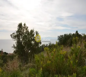 Αγροτεμάχιο 5800τ.μ. προς πώληση φωτογραφία 2353353