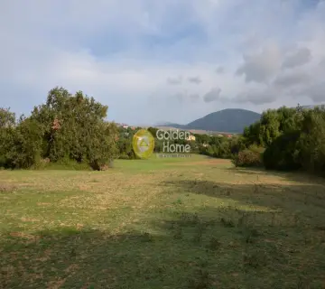 Αγροτεμάχιο 22000τ.μ. προς πώληση φωτογραφία 2353356