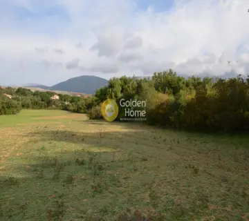 Αγροτεμάχιο 22000τ.μ. προς πώληση φωτογραφία 2353357