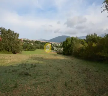 Αγροτεμάχιο 22000τ.μ. προς πώληση φωτογραφία 2353359
