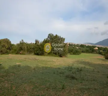 Αγροτεμάχιο 22000τ.μ. προς πώληση φωτογραφία 2353361