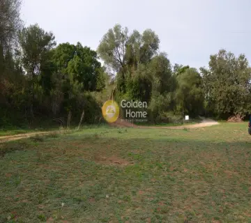 Αγροτεμάχιο 7500τ.μ. προς πώληση φωτογραφία 2353367