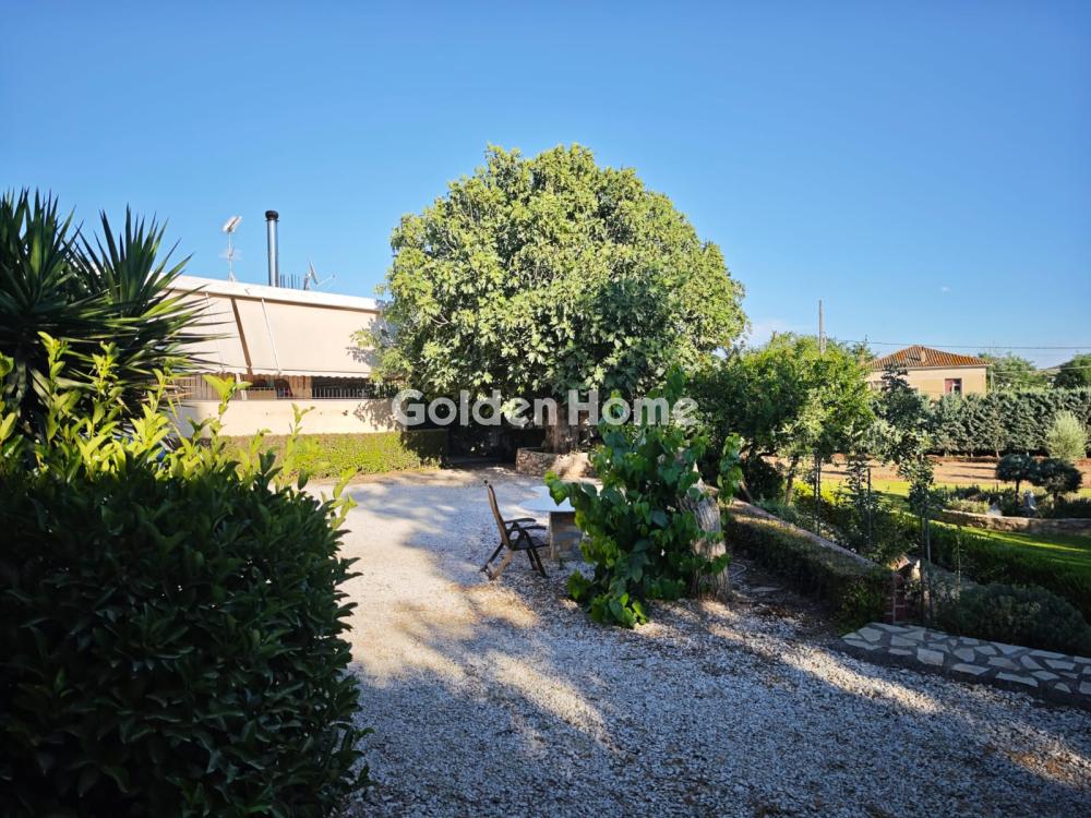 building-plot στην Μαραθώνας — Φωτογραφία 14 από 57