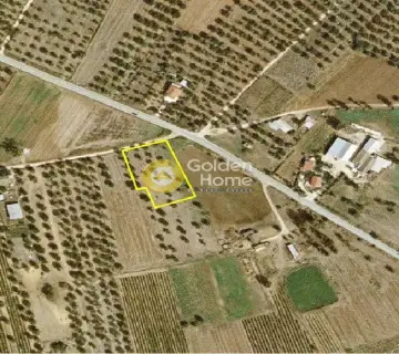 Golden Home Property Image