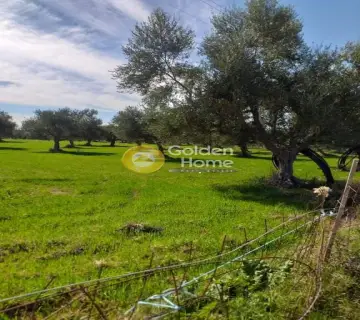 Residential 3168m<sup>2</sup> for sale photo 2353543
