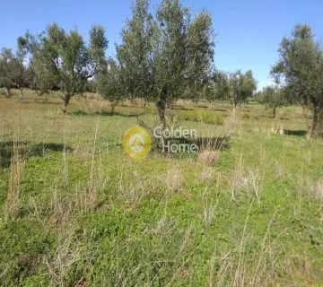 Residential 4469m<sup>2</sup> for sale photo 2353565