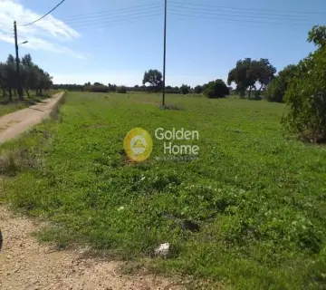 Residential 2357m<sup>2</sup> for sale photo 2352222