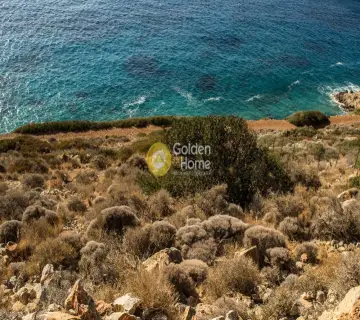 Professional Plot 13500m<sup>2</sup> for sale photo 5