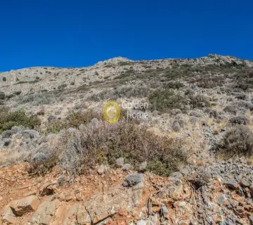 Professional Plot 13500m<sup>2</sup> for sale photo 14