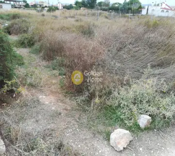 Residential 570m<sup>2</sup> for sale photo 4