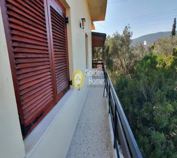 House 150m<sup>2</sup> for sale photo 60
