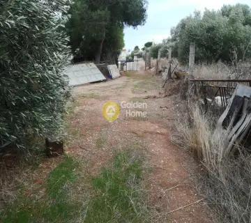 Οικιστικό 550τ.μ. προς πώληση φωτογραφία 5