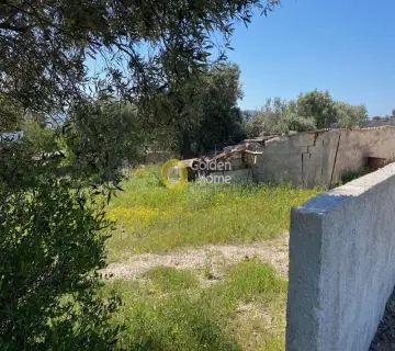 Οικιστικό 550τ.μ. προς πώληση φωτογραφία 11