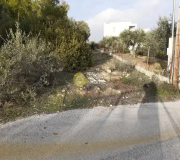 Parcel 1320m<sup>2</sup> for sale photo 2