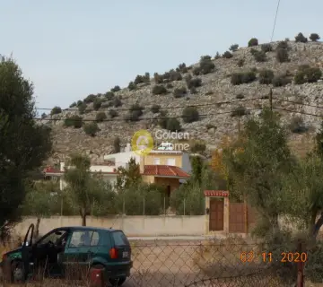 Golden Home Property Image