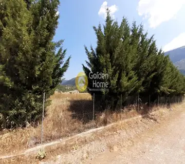 Residential 4600m<sup>2</sup> for sale photo 2350714