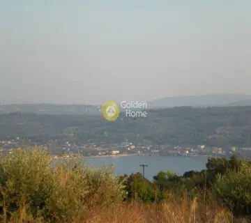 Οικιστικό 1116τ.μ. προς πώληση φωτογραφία 9