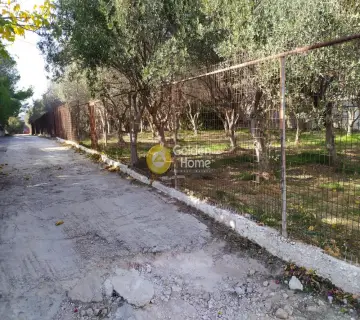 Residential 1550m<sup>2</sup> for sale photo 5