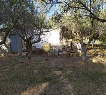 Residential 1550m<sup>2</sup> for sale photo 6