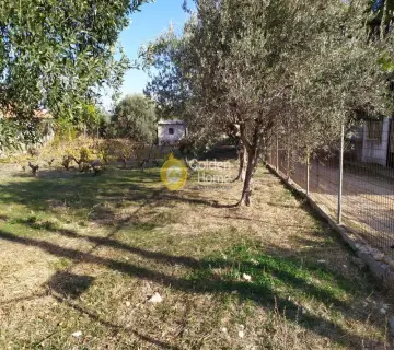 Residential 1550m<sup>2</sup> for sale photo 8
